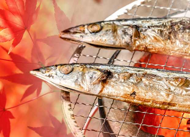 旬の秋刀魚祭り